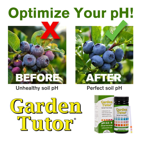 Garden Tutor Soil pH Test Kit, 100 Test Strips & AI Web Reader