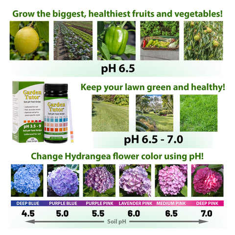 Garden Tutor Soil pH Test Kit, 100 Test Strips & AI Web Reader